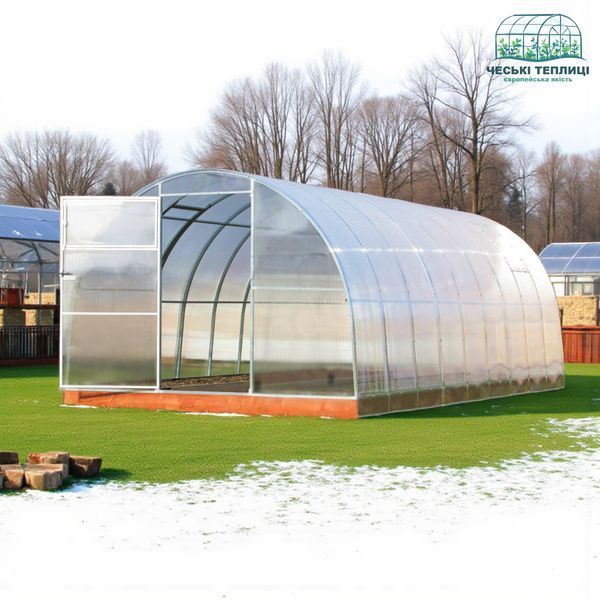 ЧЕСЬКА ТЕПЛИЦЯ 3Х12 Полікарбонат 8 мм D3128 фото