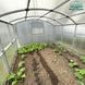 ЧЕШСКАЯ ПРЯМОСТЕННАЯ ТЕПЛИЦА 3Х8 Поликарбонат 4 мм P384 фото 3